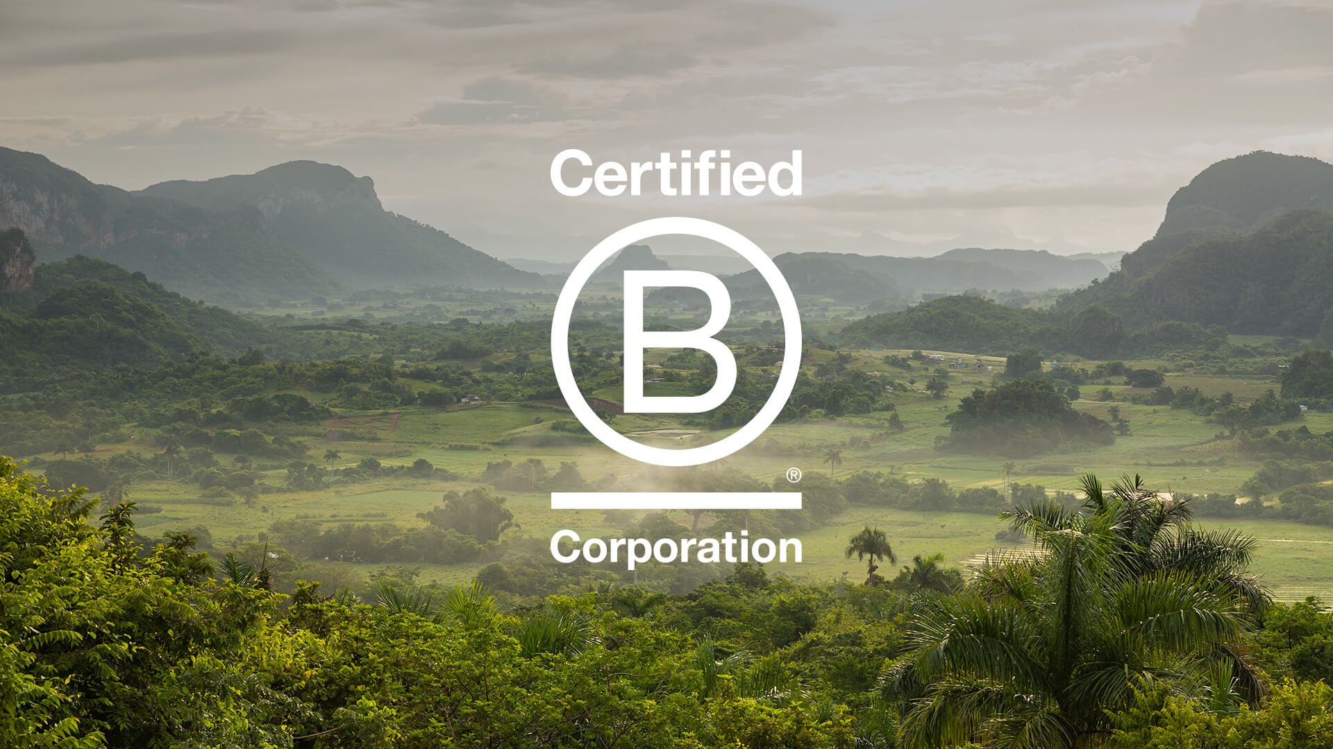 Bath Digital Festival – Be more B Corp